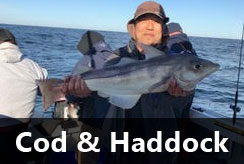 Code & Haddock